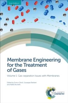 Membrane Engineering for the Treatment of Gases : Volume 1: Gas-separation Issues with Membranes