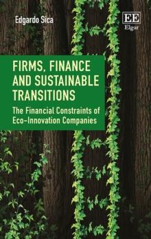 Firms, Finance and Sustainable Transitions : The Financial Constraints of Eco-Innovation Companies