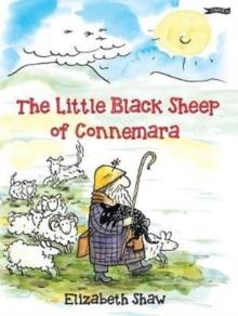 The Little Black Sheep of Connemara