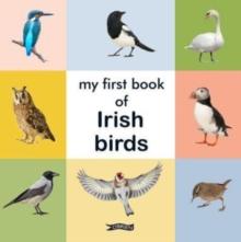 My First Book of Irish Birds