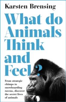 What Do Animals Think and Feel?