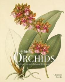 RHS Orchids