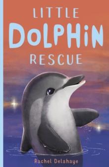 Little Dolphin Rescue