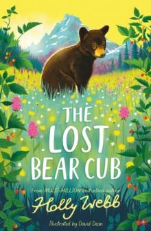 The Lost Bear Cub