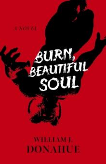 Burn, Beautiful Soul : A Novel