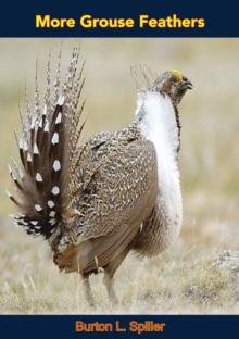 More Grouse Feathers