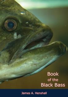 Book of the Black Bass