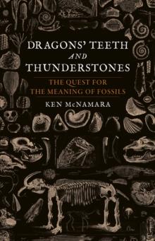 Dragons' Teeth and Thunderstones : The Quest for the Meaning of Fossils