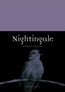 Nightingale