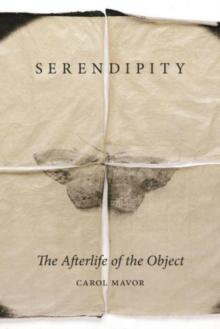 Serendipity : The Afterlife of the Object