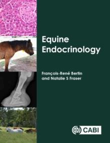 Equine Endocrinology