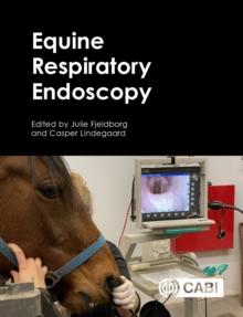 Equine Respiratory Endoscopy