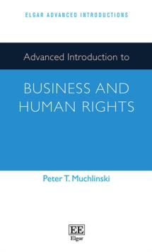 Advanced Introduction to Business and Human Rights