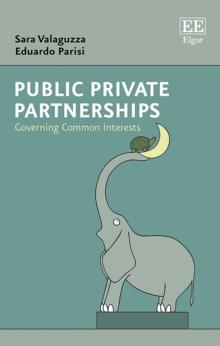 Public Private Partnerships : Governing Common Interests