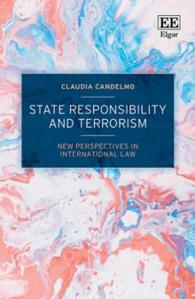 State Responsibility and Terrorism : New Perspectives in International Law