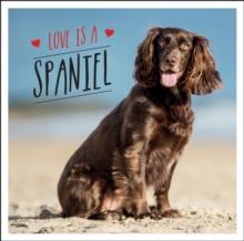 Love is a Spaniel : A Dog-Tastic Celebration of the Worlds Most Lovable Breed