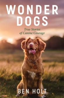 Wonder Dogs : Inspirational True Stories of Real-Life Dog Heroes That Will Melt Your Heart