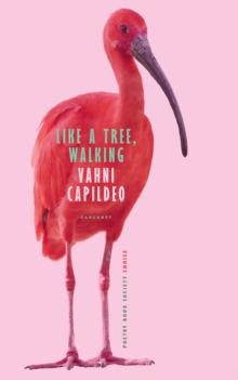 Like a Tree, Walking