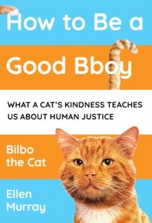 How to be a Good Bboy : What a cats kindness teaches us about human justice