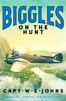 Biggles on the Hunt