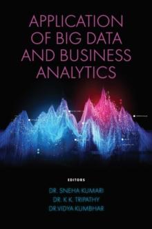 Application of Big Data and Business Analytics