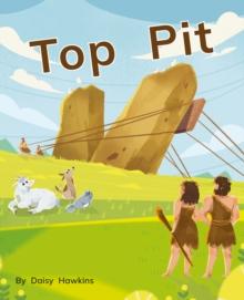 Top Pit : Phonics Phase 2