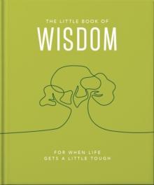 The Little Book of Wisdom : For when life gets a little tough