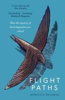 Flight Paths : How the mystery of bird migration was solved