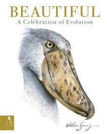 Beautiful : A Celebration of Evolution