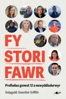 Fy Stori Fawr