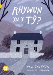 Cyfres Amdani: Rhywun yn y Ty?