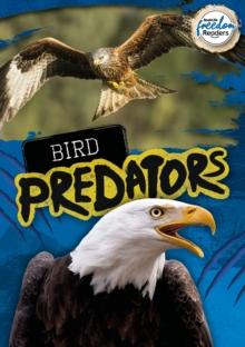 Bird Predators