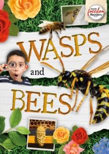 Wasps and Bees