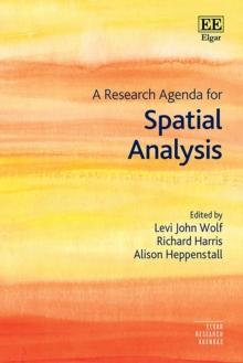 Research Agenda for Spatial Analysis