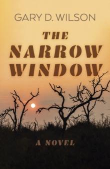 Narrow Window : A Novel