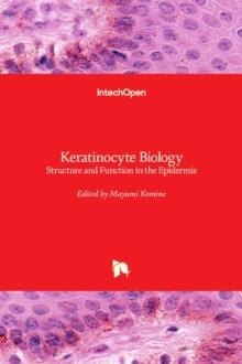 Keratinocyte Biology : Structure and Function in the Epidermis