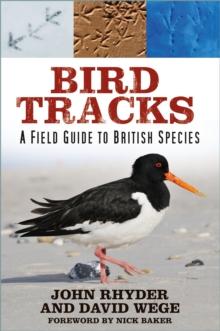 Bird Tracks : A Field Guide to British Species