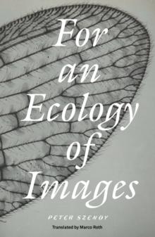 For An Ecology Of Images