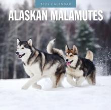 Alaskan Malamutes 2025 Square Wall Calendar