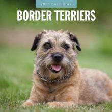 Border Terriers 2025 Square Wall Calendar