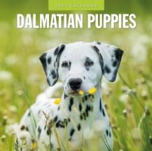 Dalmatian Puppies 2025 Square Wall Calendar