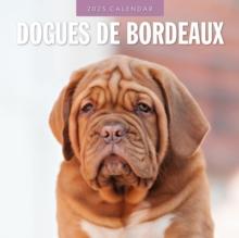 Dogues de Bordeaux 2025 Square Wall Calendar