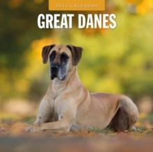 Great Danes 2025 Square Wall Calendar