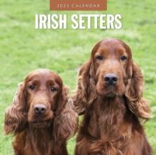 Irish Setters 2025 Square Wall Calendar