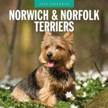 Norwich-/ Norfolk Terriers 2025 Square Wall Calendar