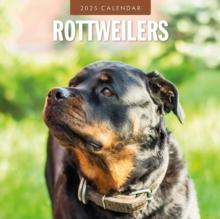 Rottweilers 2025 Square Wall Calendar