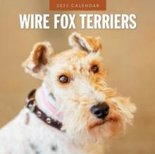 Wire Fox Terriers 2025 Square Wall Calendar