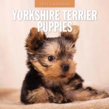 Yorkshire Terrier Puppies 2025 Square Wall Calendar