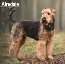 Airedale Terrier Square Wall Calendar 2025