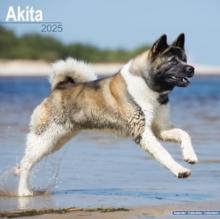 Akita Calendar 2025 Square Dog Breed Wall Calendar - 16 Month